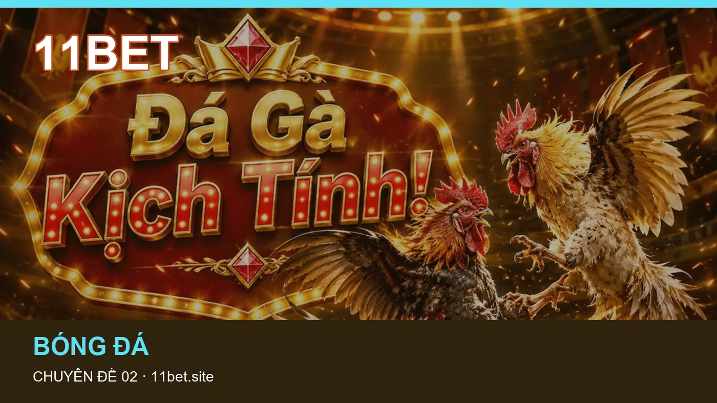Hình minh họa bài viết 11BET