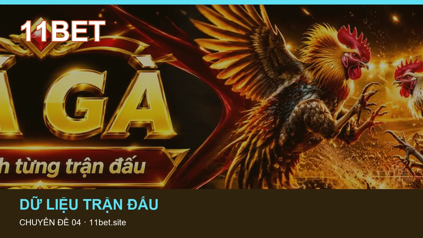 Hình minh họa bài viết 11BET