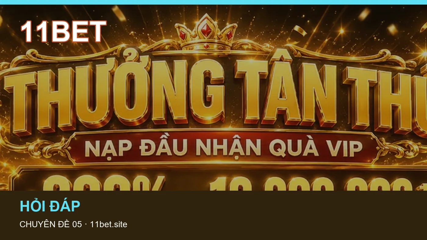 Hình minh họa bài viết 11BET