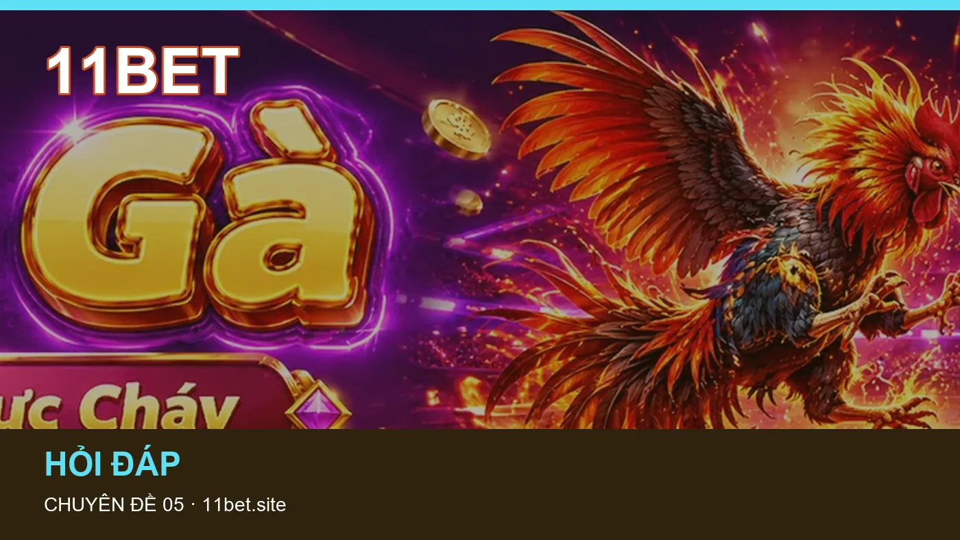 Những nhầm lẫn thường gặp khi đọc nội dung Lịch thi đấu trên 11BET