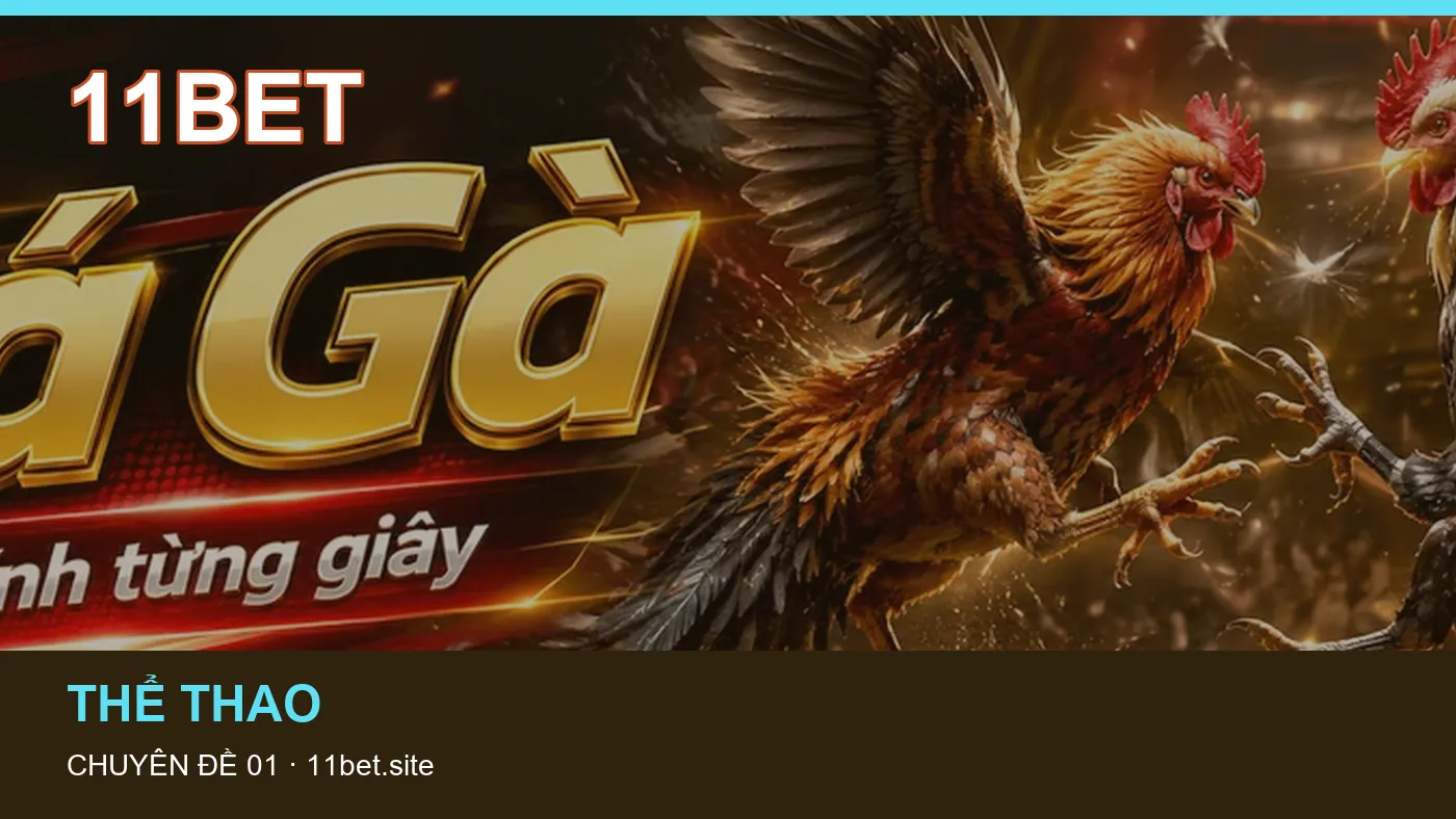 Đối chiếu nguồn và thời điểm cập nhật trong Lịch thi đấu của 11BET