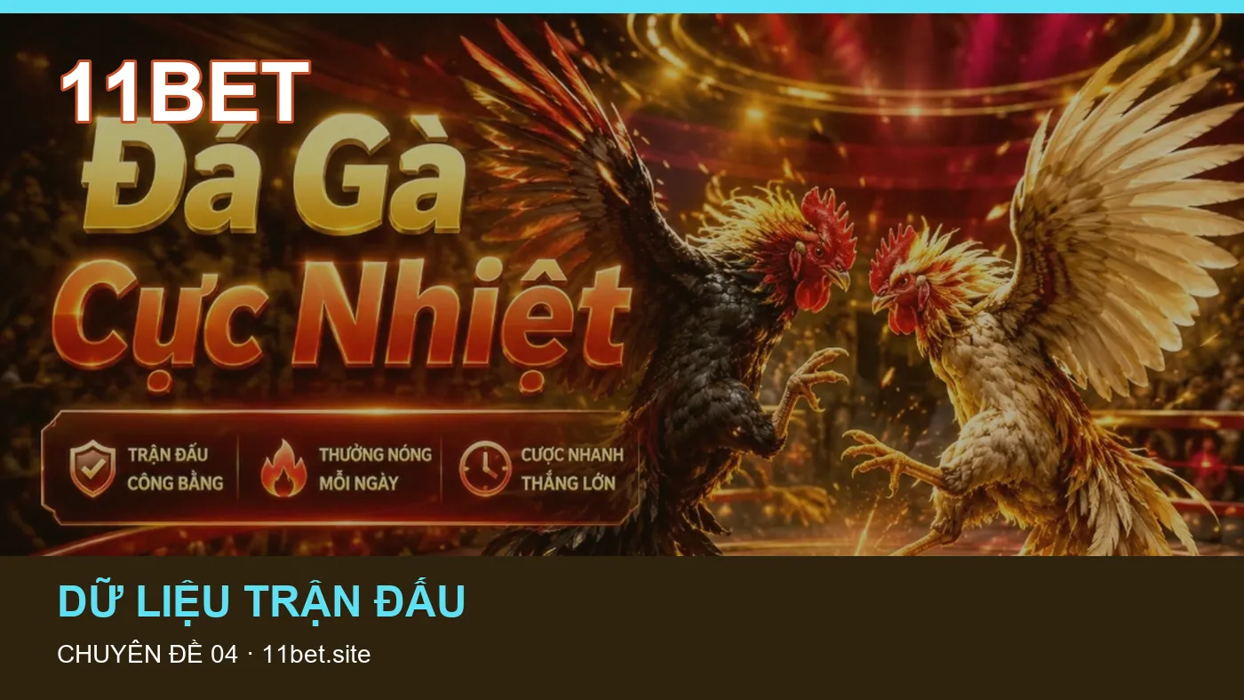 Đối chiếu nguồn và thời điểm cập nhật trong Dữ liệu trận đấu của 11BET