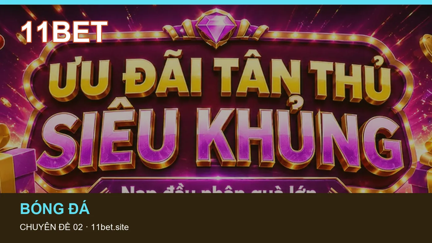 Hỏi đáp về Dữ liệu trận đấu: quy trình tự kiểm tra trên 11BET