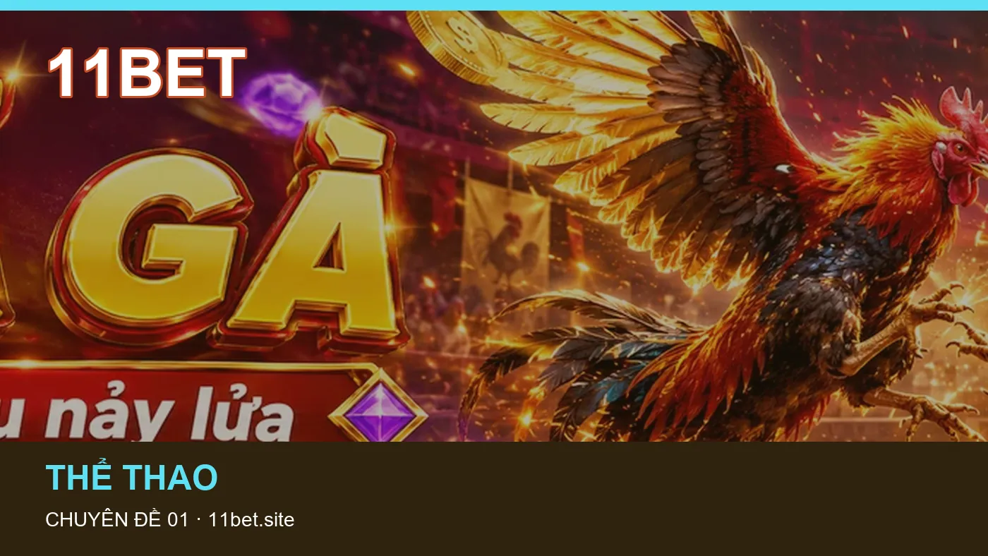 Những nhầm lẫn thường gặp khi đọc nội dung Hỏi đáp trên 11BET