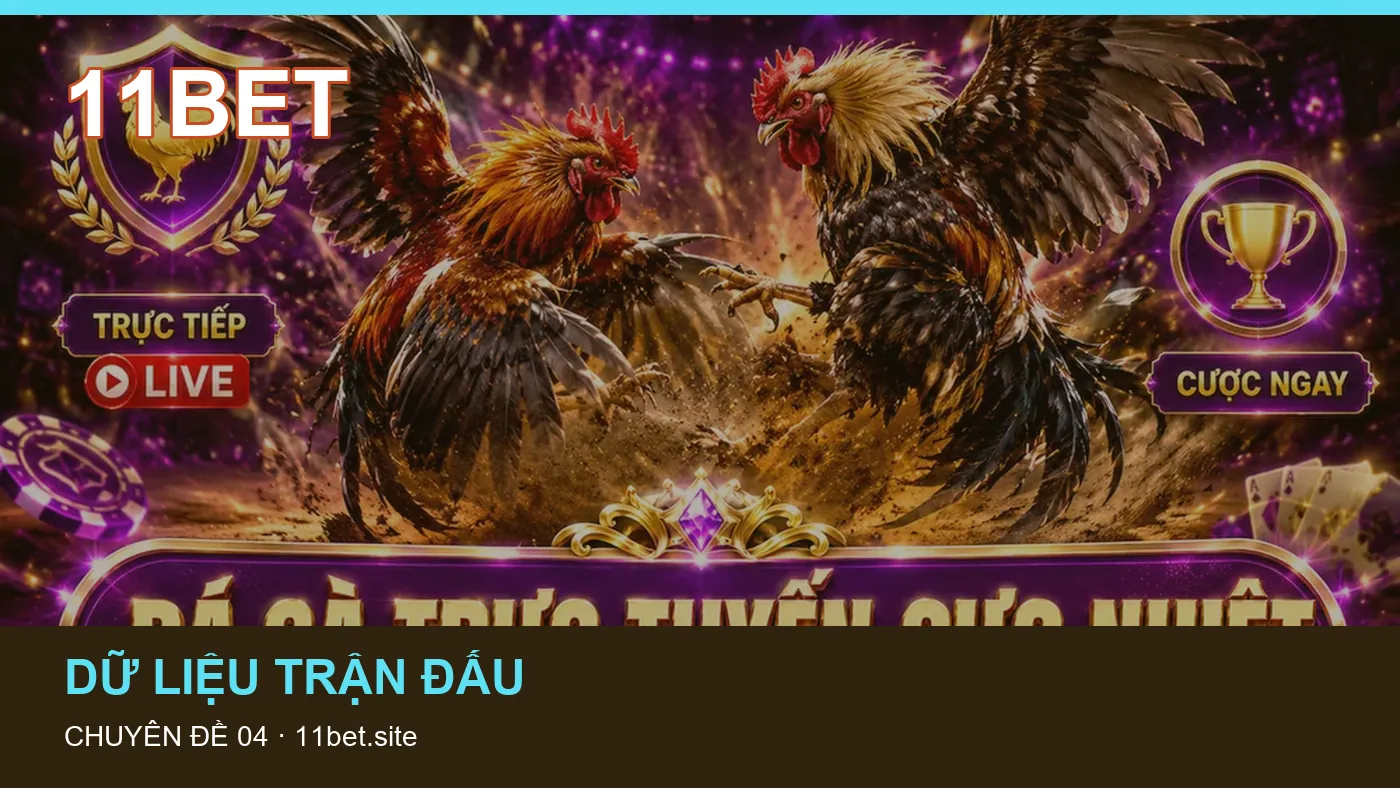 Hình minh họa bài viết 11BET